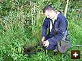 Identified the mole run, now setting the trap
