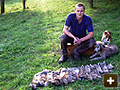 Pest control using dogs and ferrets