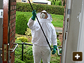 Removal of wasp nest in Oxford