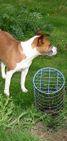Rabbit Control rabbit control